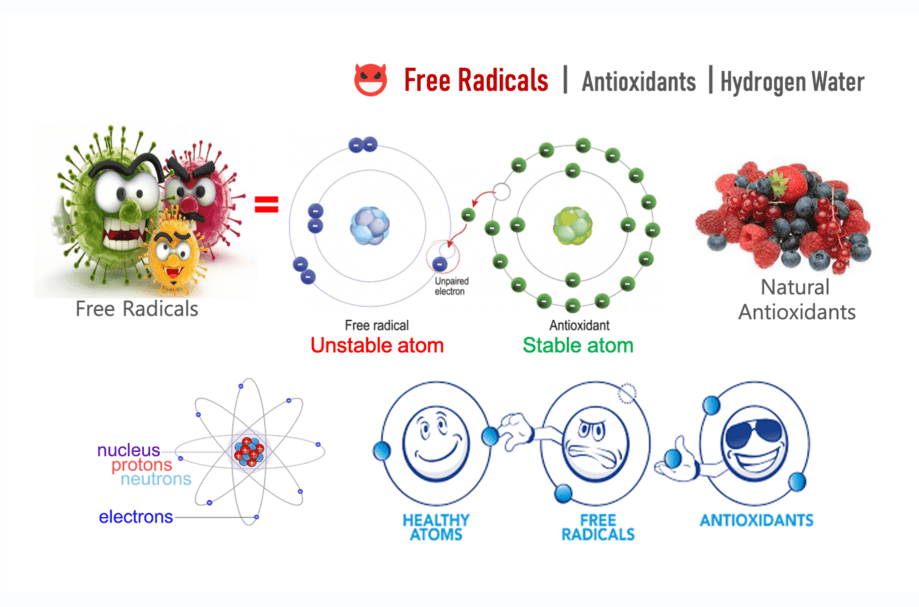 A Diagram of Different Molecules
